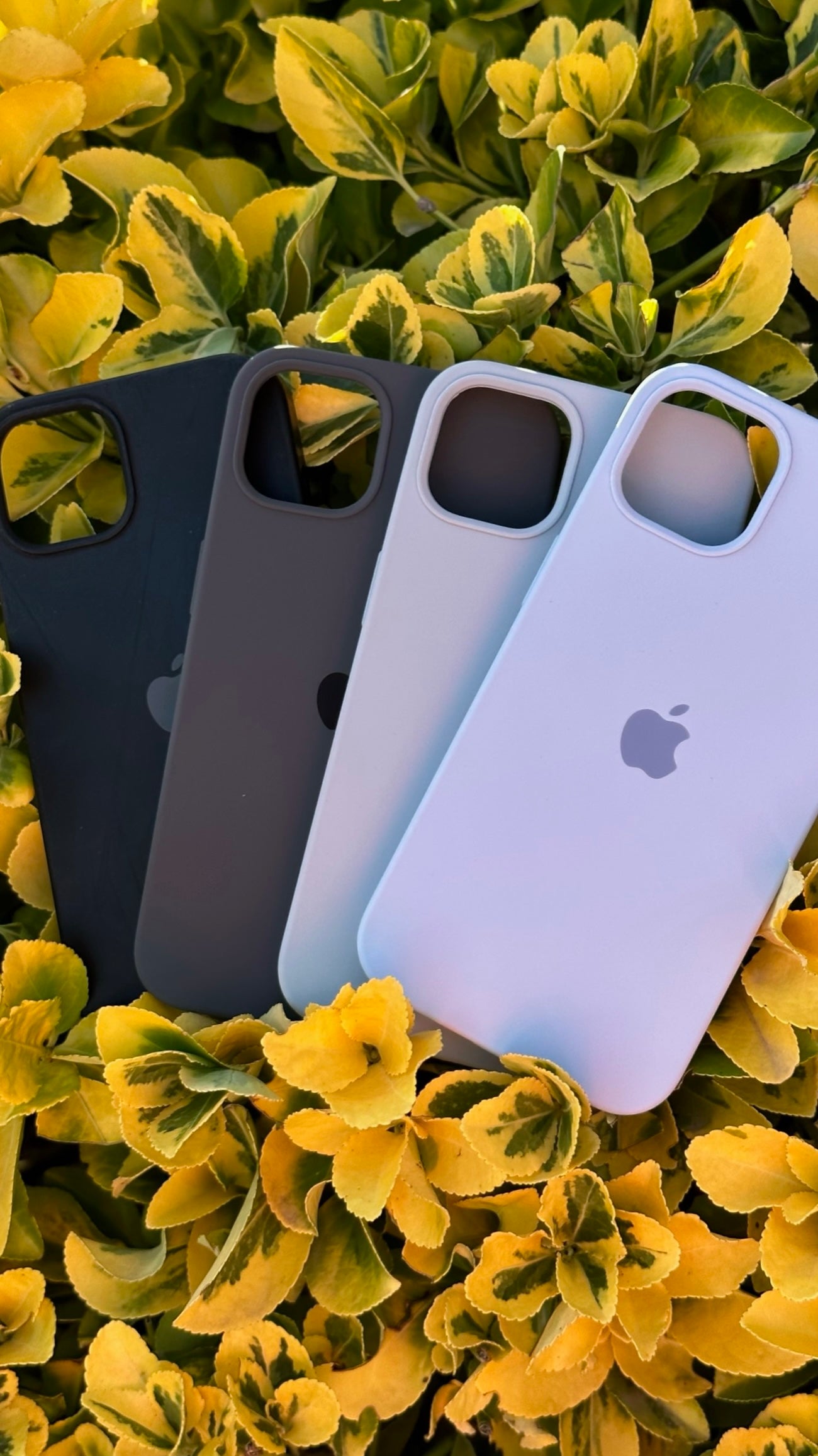 PROMO SILICON CASE x3