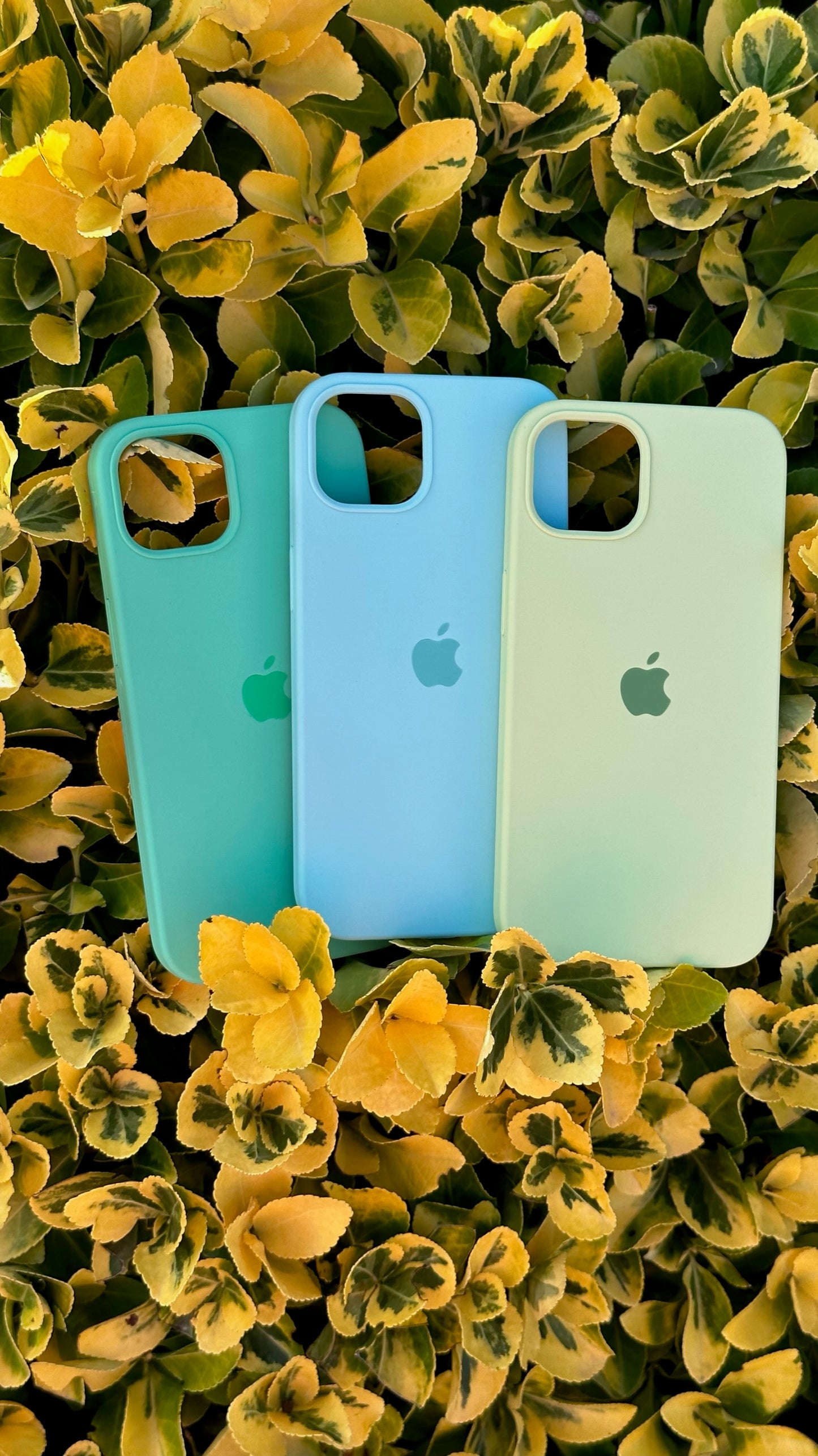 PROMO SILICON CASE x3