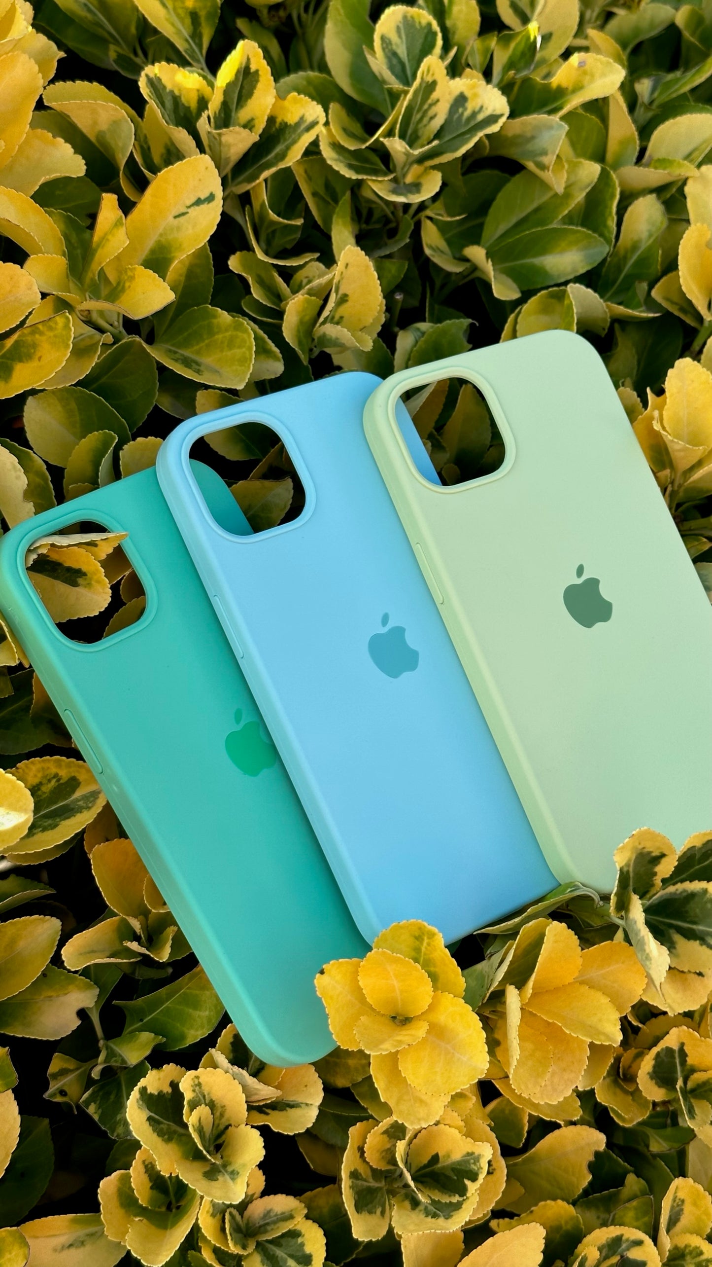 PROMO SILICON CASE x3