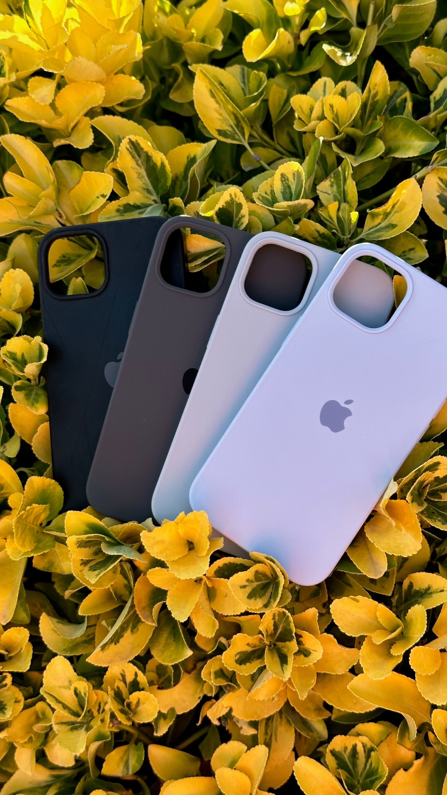 PROMO SILICON CASE x3