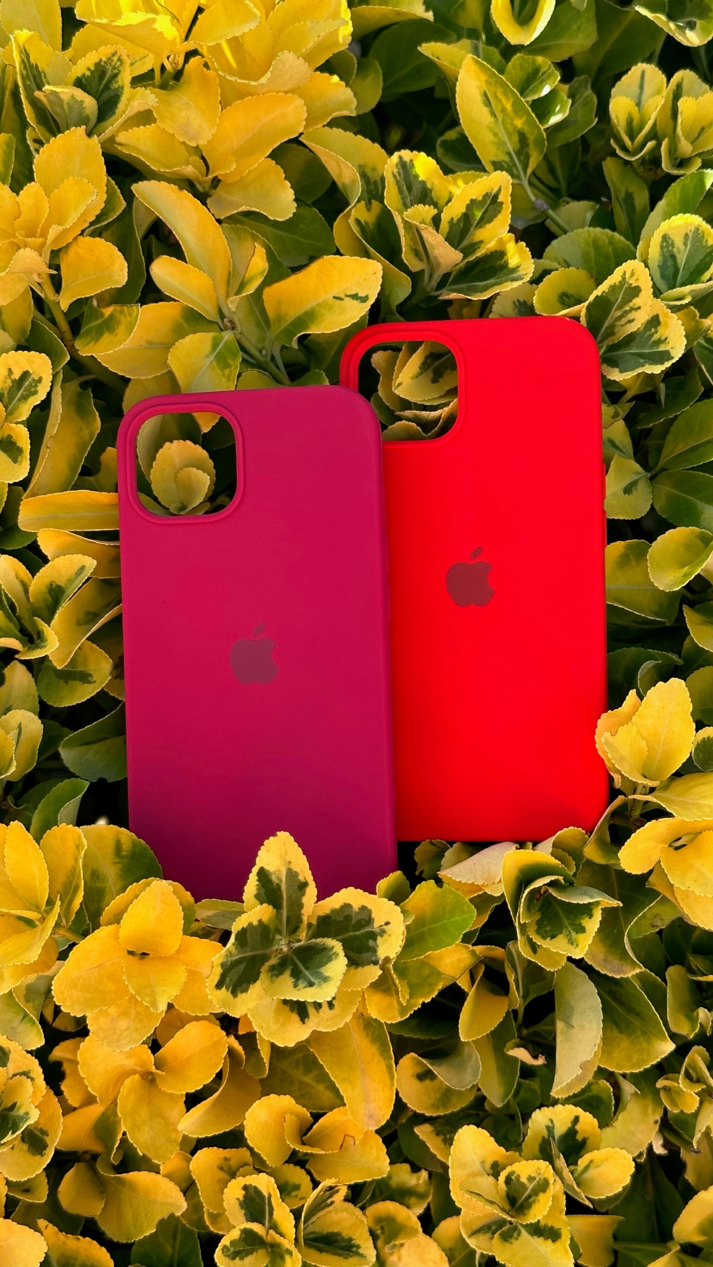 PROMO SILICON CASE x2