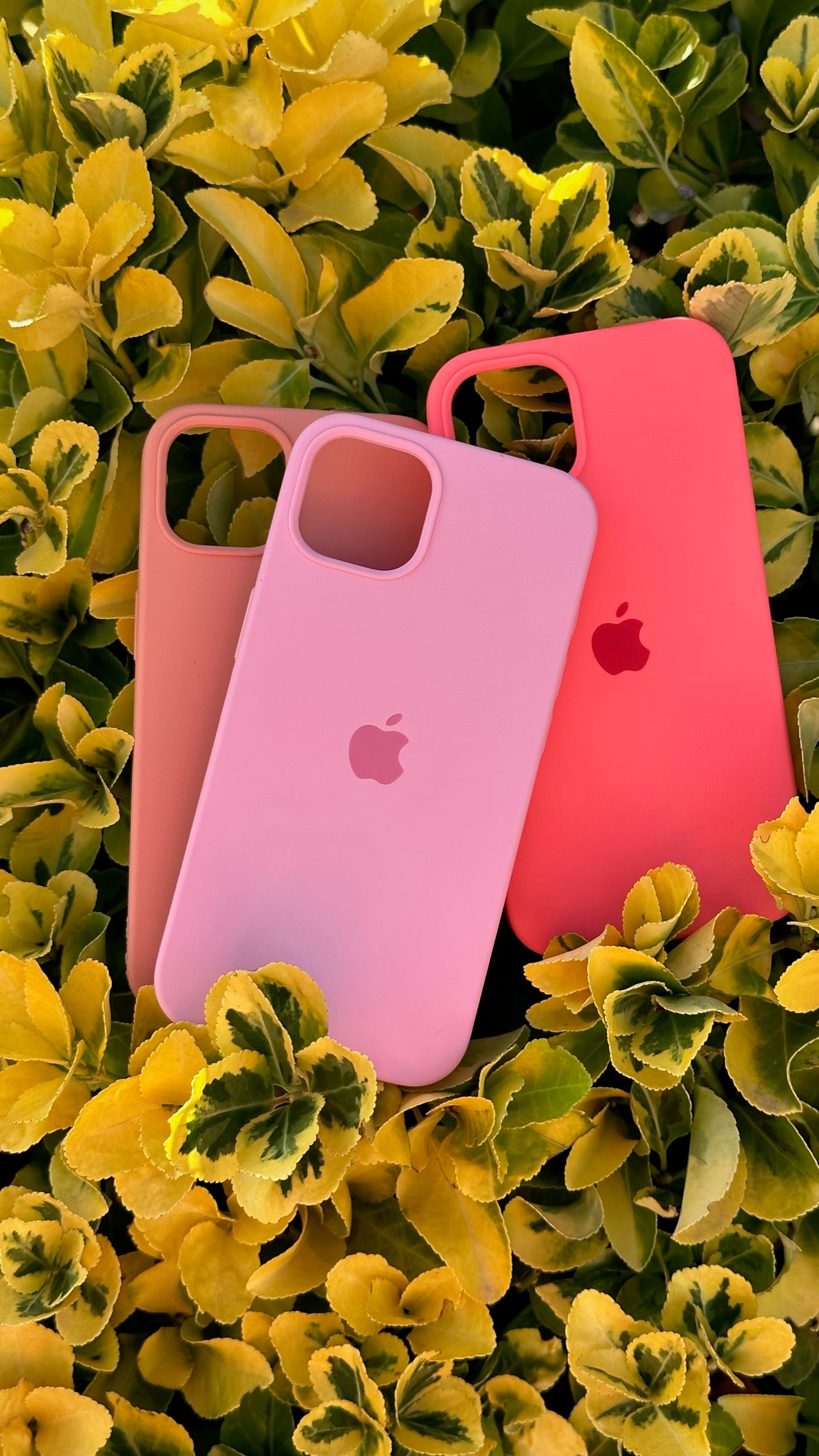 PROMO SILICON CASE x3