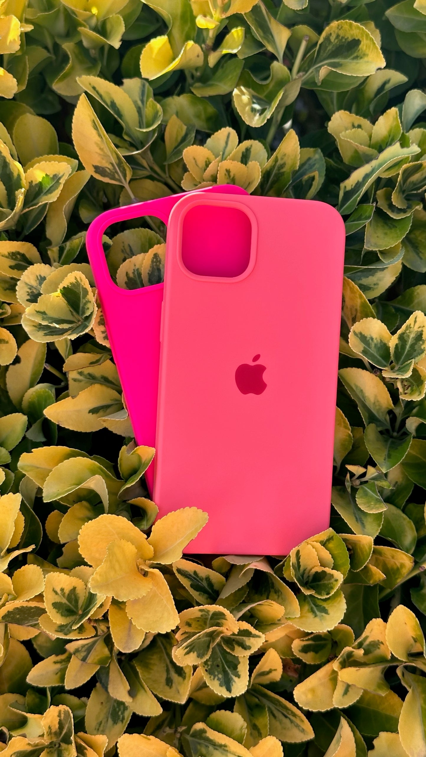 PROMO SILICON CASE x2